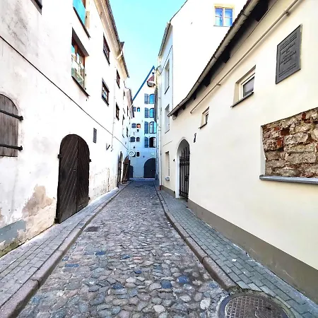 Vecpilsetas Old Center 公寓 里加